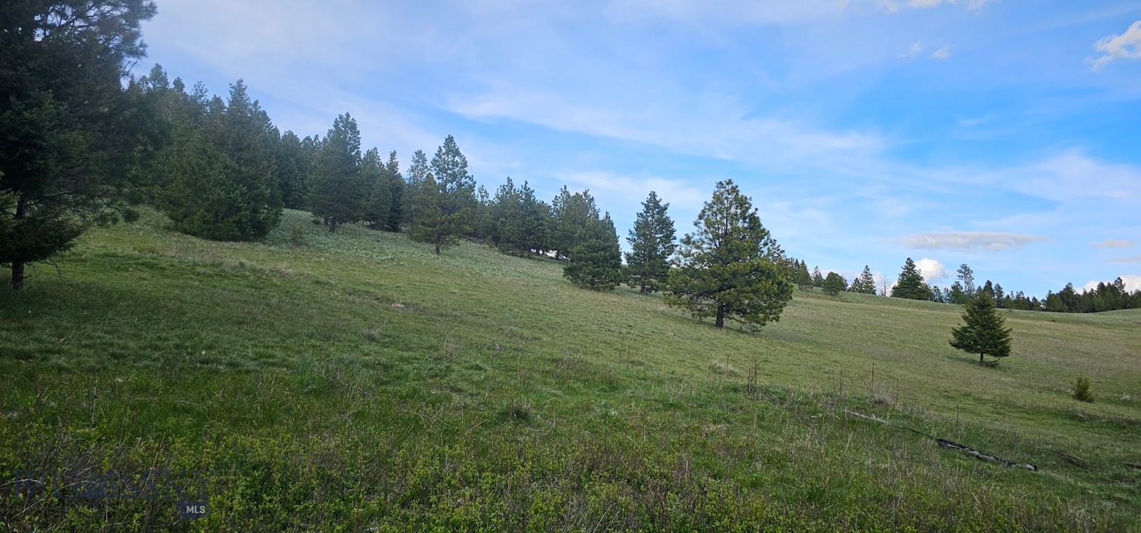 6 Bull Elk Tracts, Drummond