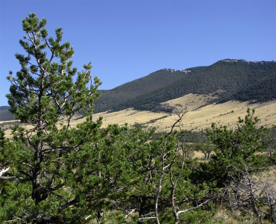 NHN Awwakkula Way, Bridger, Montana