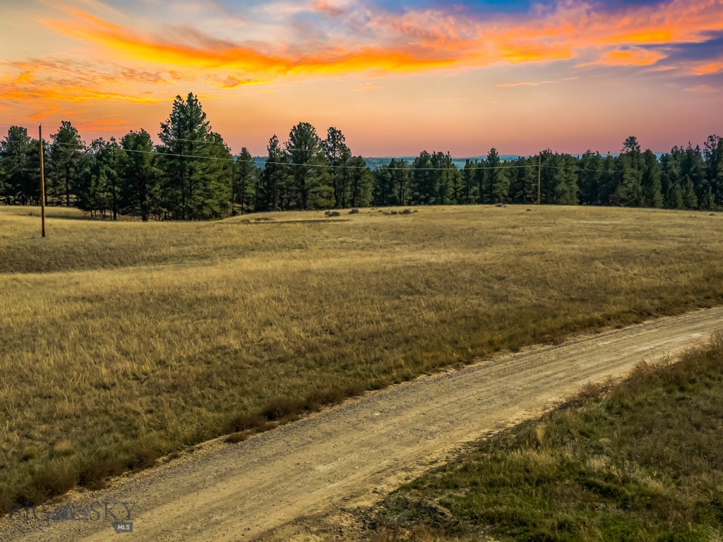 NHN Bundy Road, Lavina