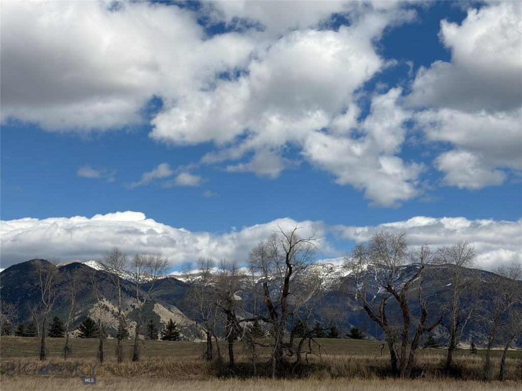 5774 Wavy Leaf Way, Bozeman