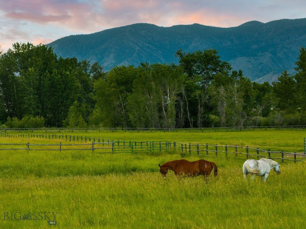 1700 Nelson Road, Bozeman, Montana