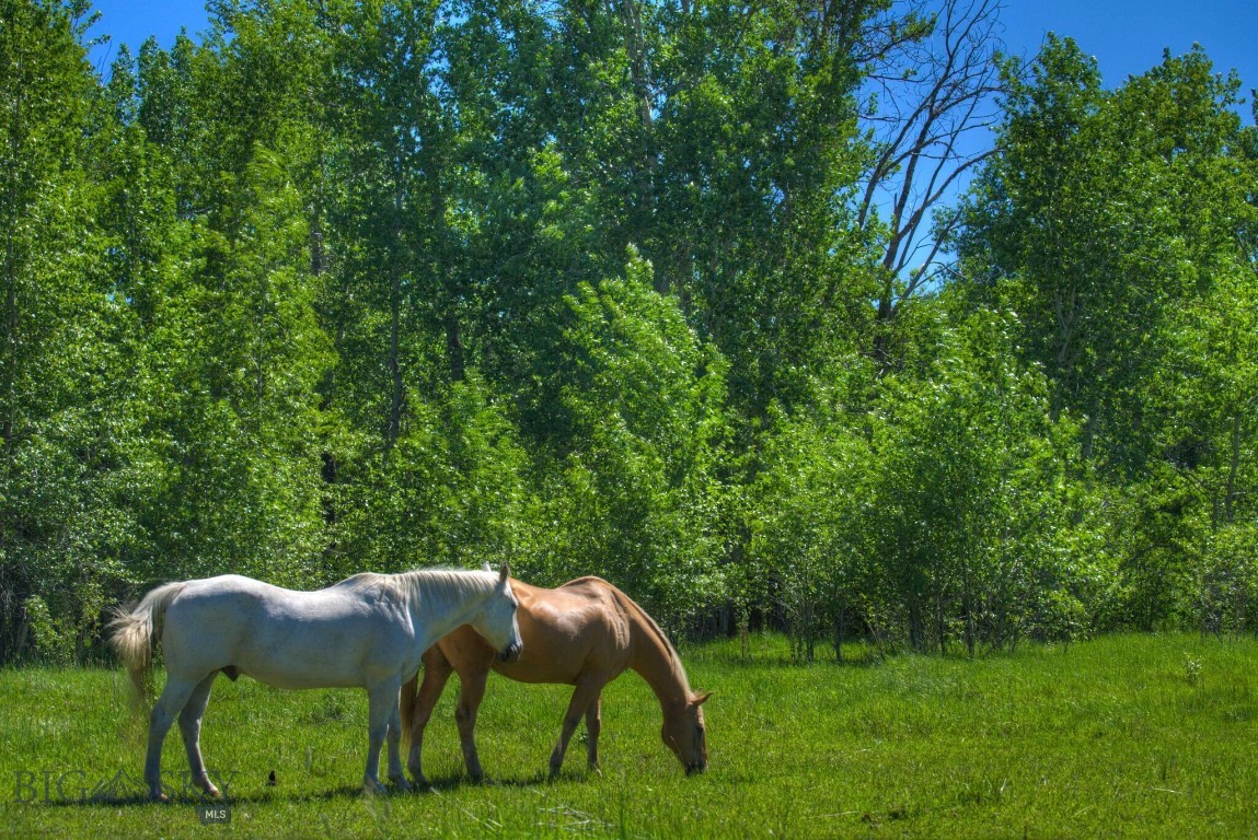 13830 (Tract B) Cottonwood Road, Bozeman, Montana