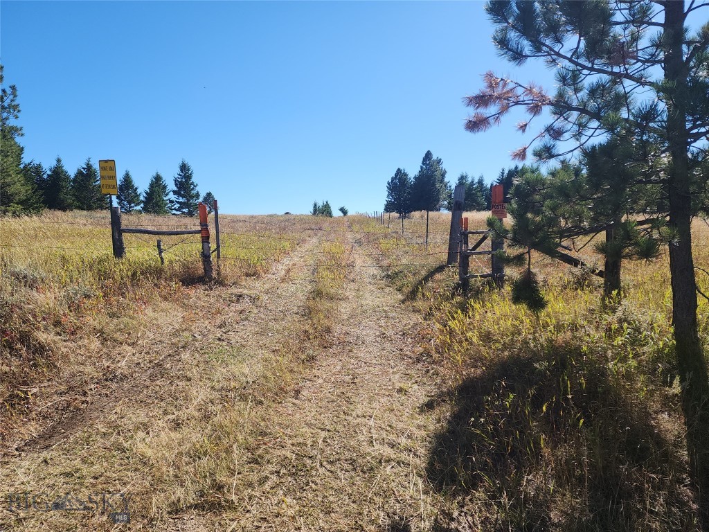 NHN Logging Creek Road, Monarch