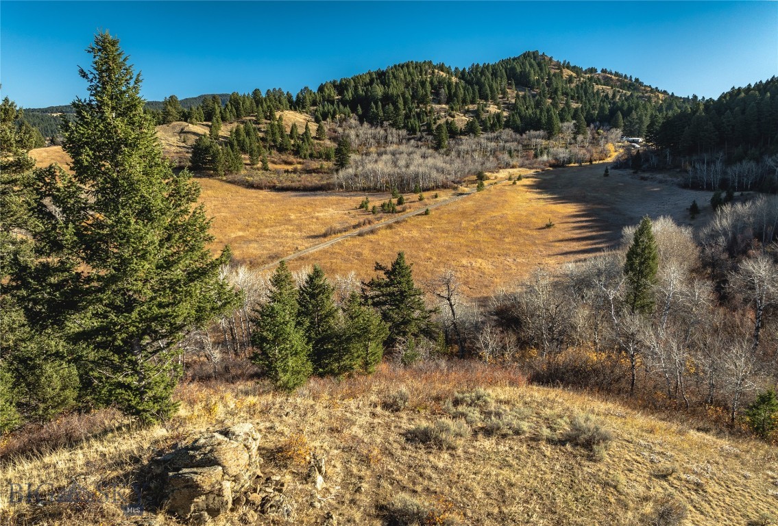 495 Moffit Gulch Road, Bozeman