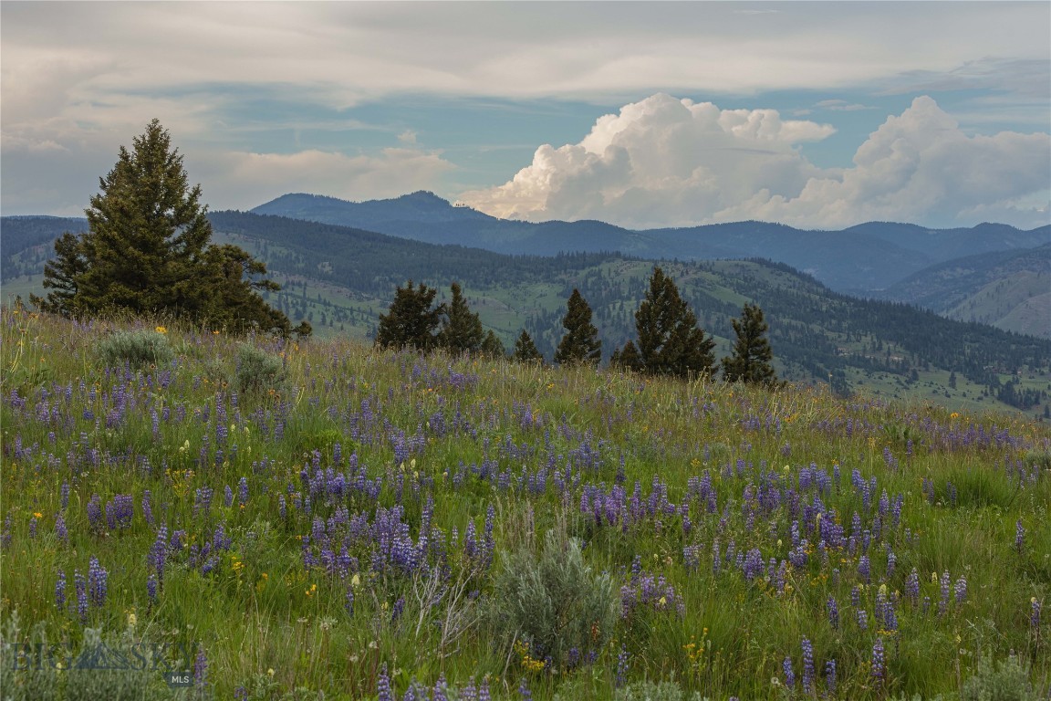 3 Bull Elk Tracts, Drummond, Montana