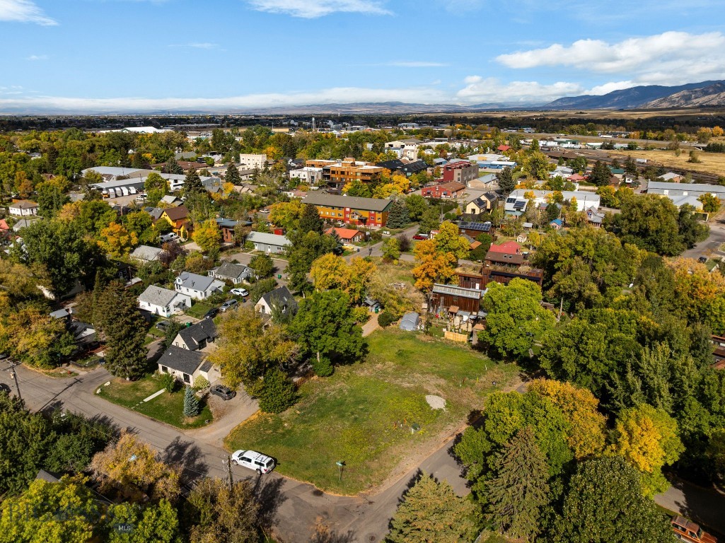 709 E Fridley Street, Bozeman