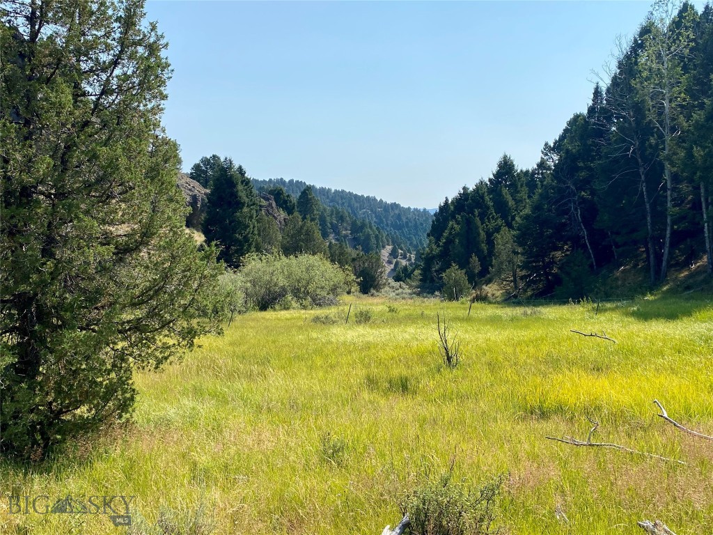 TBD Meadow Gulch Road, Butte, Montana