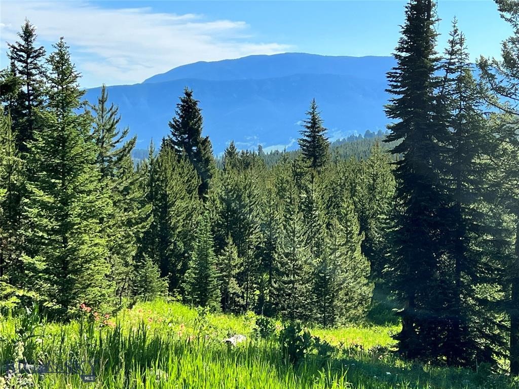 tbd Trout Pond Lane, Big Sky