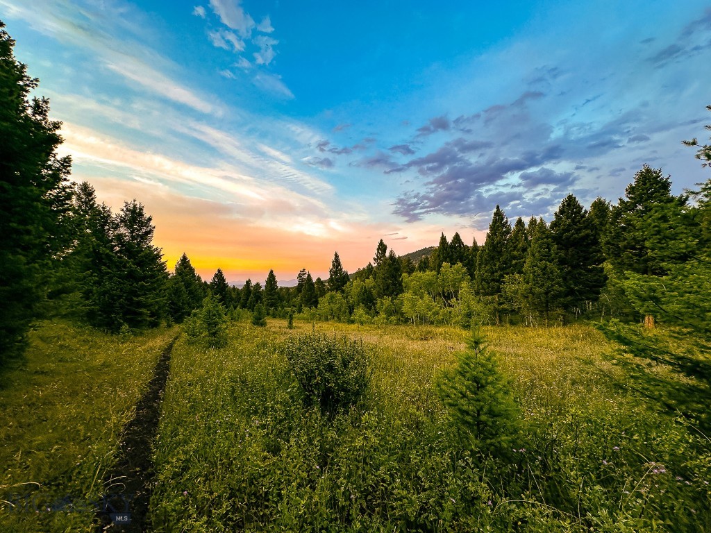 NHN Perry Ranch Road, Drummond, Montana