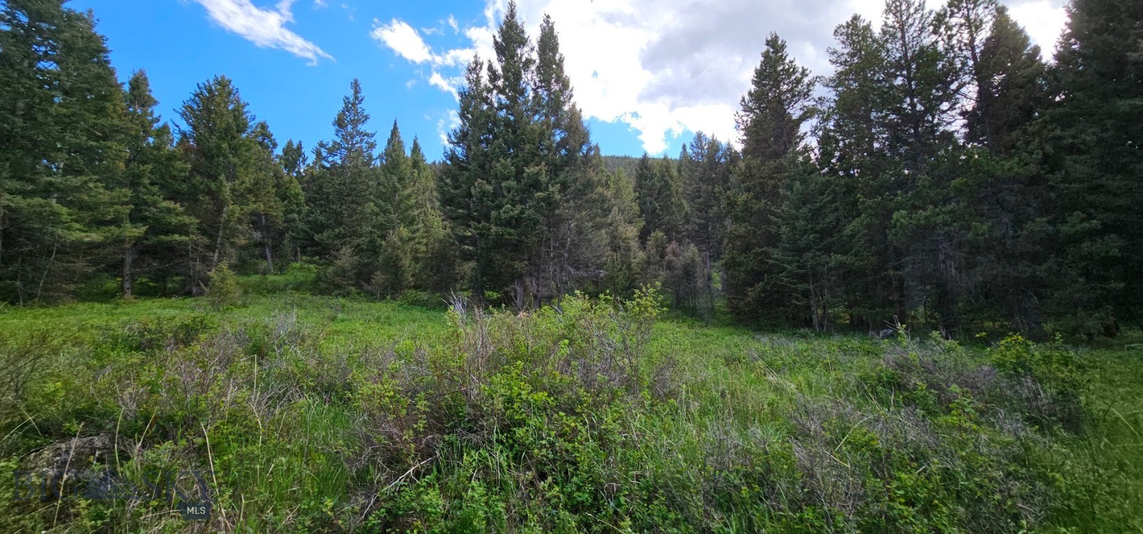 11 Hall Creek Tract, Helmville