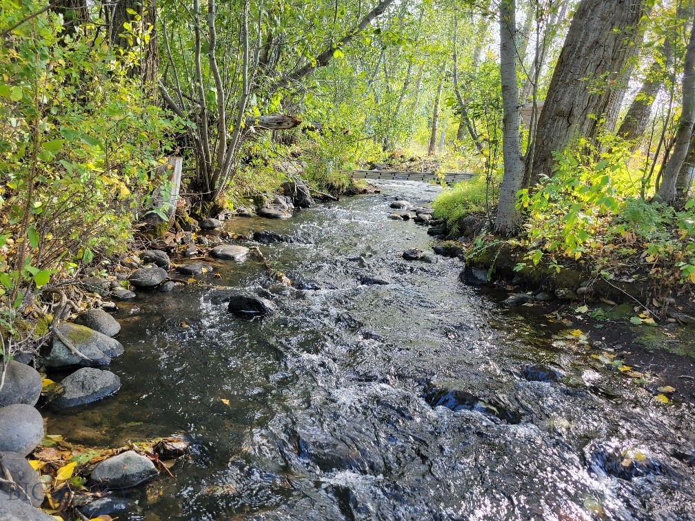 NHN Hyalite Canyon Road, Bozeman