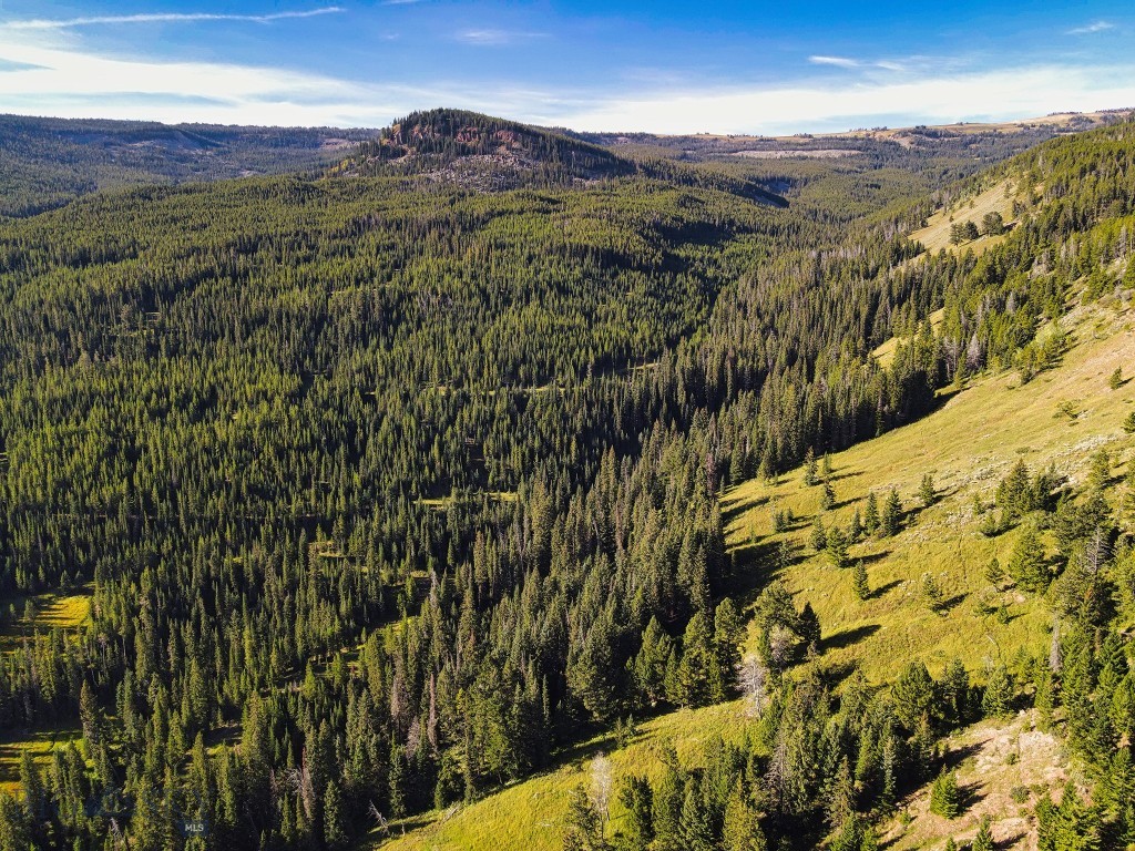 TBD Upper Beaver Creek Road, Big Sky