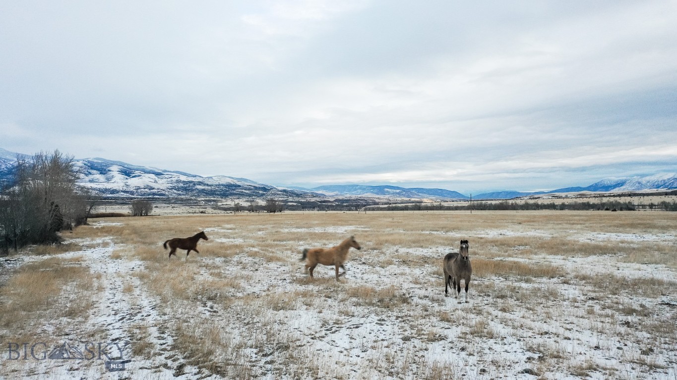 NHN Mule Deer Road, Pray