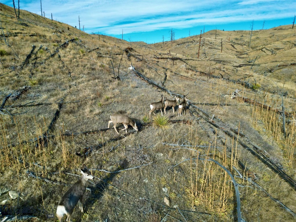 Lot 201 Haystack Coulee Road, Columbus