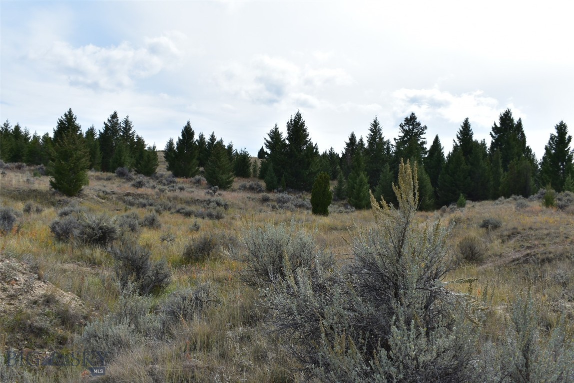 tbd Indian Paint Brush Road, Butte