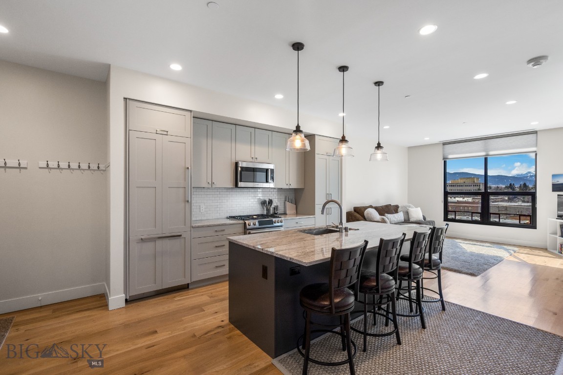 5 W Mendenhall 512, Bozeman