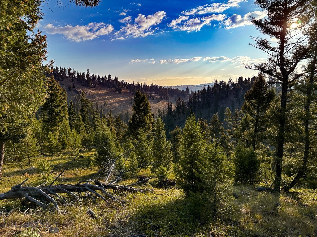 NHN Wapiti Road, Philipsburg