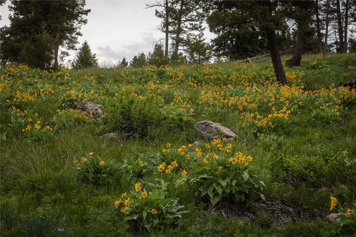 5 Bull Elk Tracts, Drummond, Montana