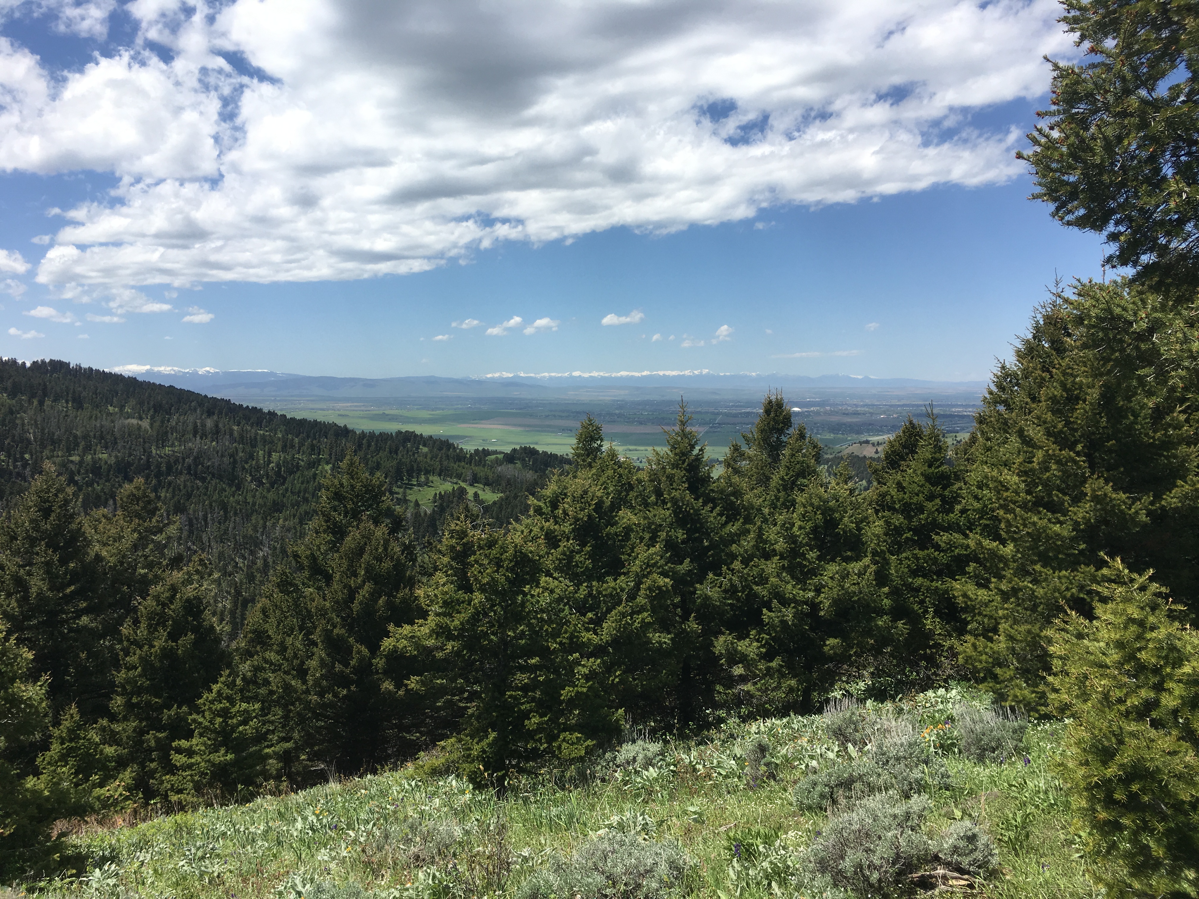 Land Near Bozeman Montana