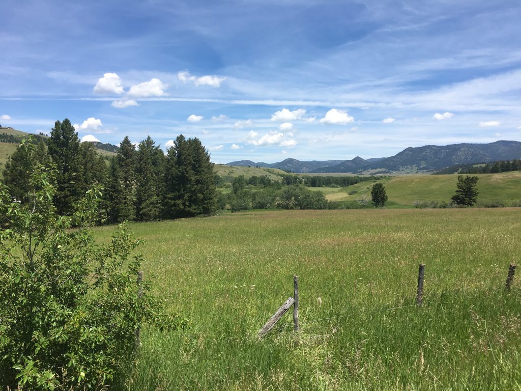 Montana Land For Sale: Ranch, Farm, Agricultural, Commercial, Lots