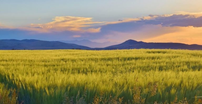 Montana Land Listings Below $25,000. Building Lots, Ag and Grazing Land