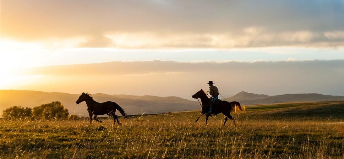 Photo Taunya Fagan Horse Properties For Sale in Bozeman Montana.